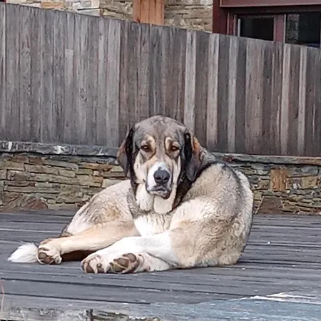 Balneario De Resort *