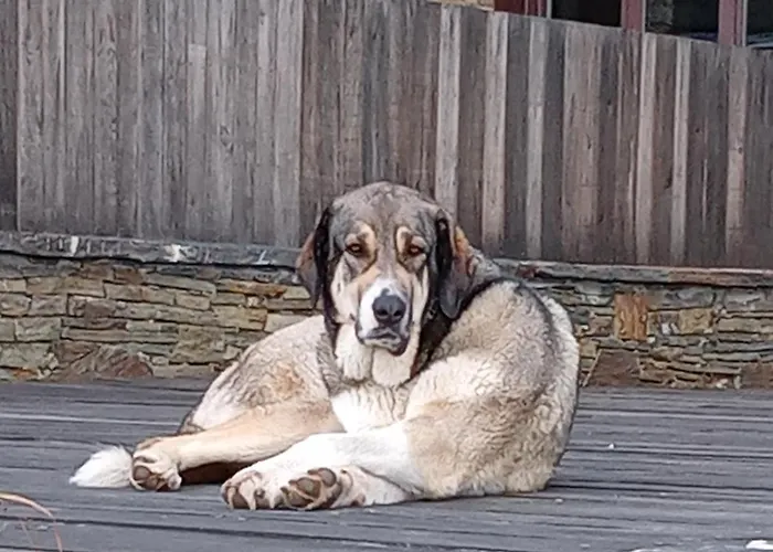 Balneario De Resort *